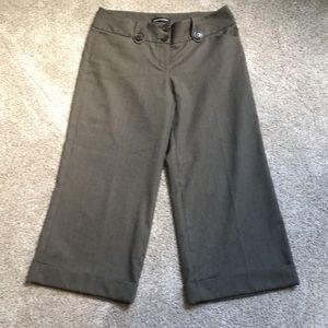 Express Cropped Pinhole Editor Pant